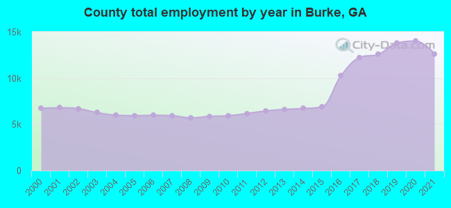 County total employment by year in Burke, GA