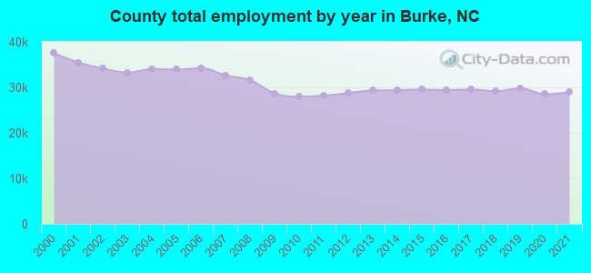 County total employment by year in Burke, NC