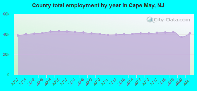 County total employment by year in Cape May, NJ