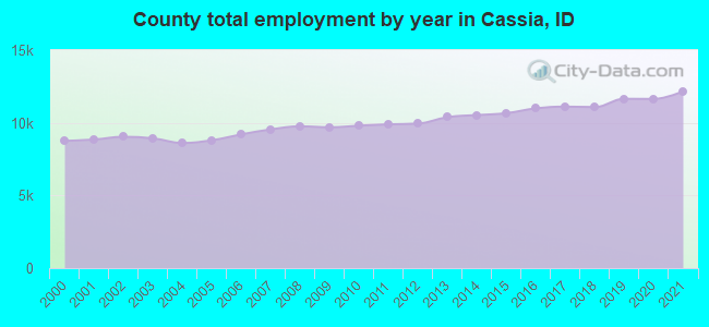 County total employment by year in Cassia, ID