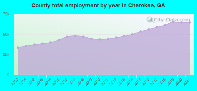 County total employment by year in Cherokee, GA
