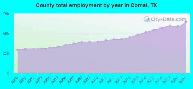 County total employment by year in Comal, TX