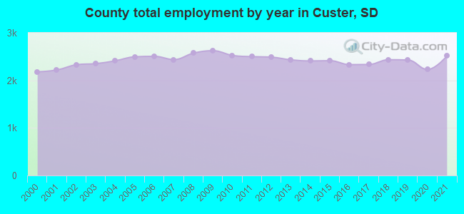 County total employment by year in Custer, SD