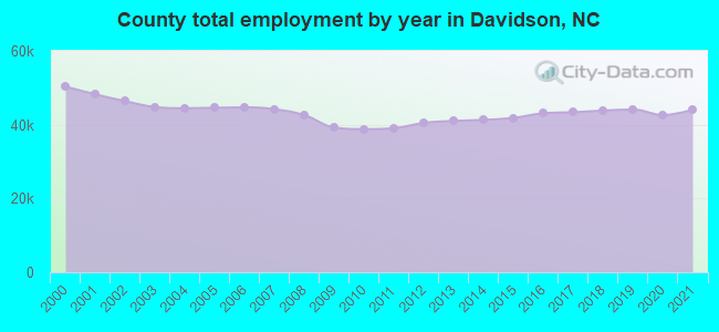 County total employment by year in Davidson, NC