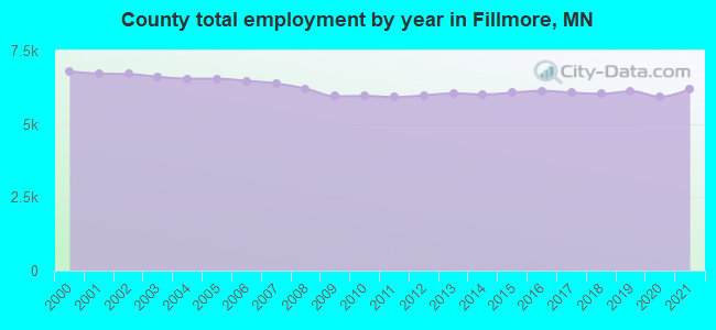 County total employment by year in Fillmore, MN