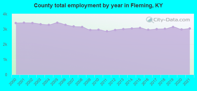 County total employment by year in Fleming, KY