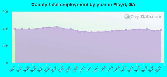 County total employment by year in Floyd, GA