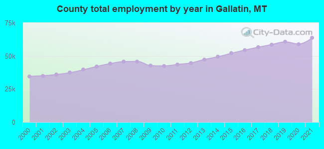 County total employment by year in Gallatin, MT