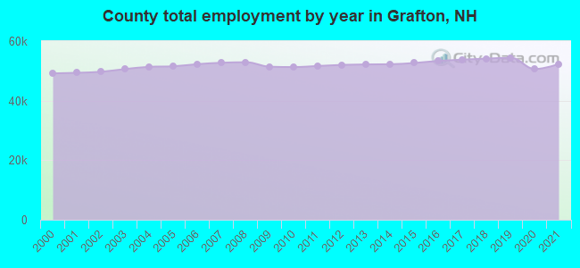 County total employment by year in Grafton, NH