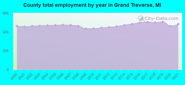 County total employment by year in Grand Traverse, MI
