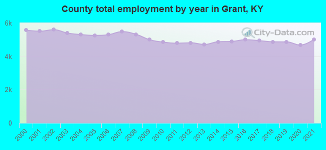 County total employment by year in Grant, KY