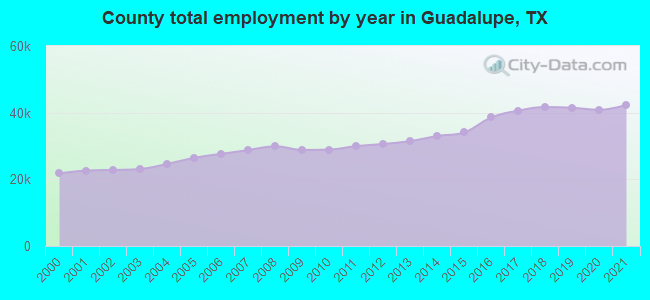 County total employment by year in Guadalupe, TX
