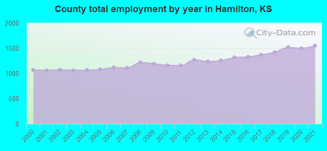 County total employment by year in Hamilton, KS