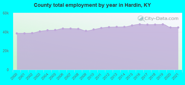 County total employment by year in Hardin, KY