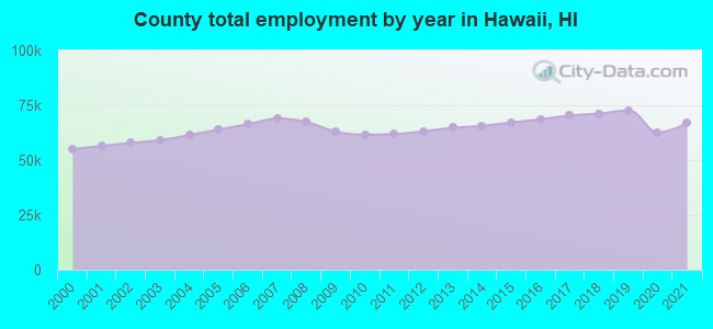 County total employment by year in Hawaii, HI