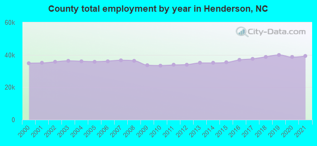 County total employment by year in Henderson, NC