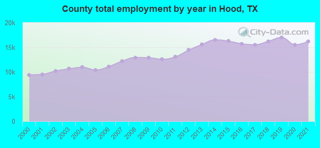 County total employment by year in Hood, TX