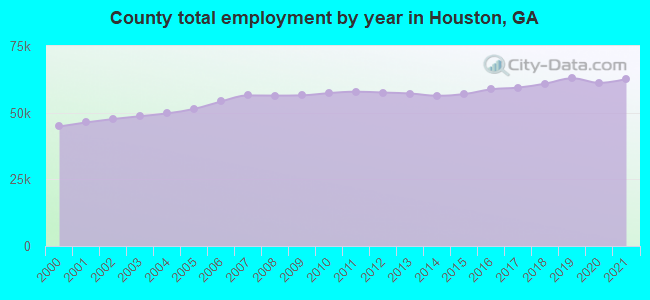 County total employment by year in Houston, GA