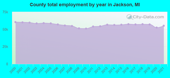 County total employment by year in Jackson, MI