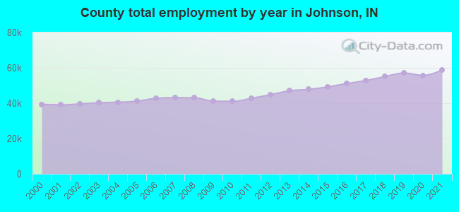 County total employment by year in Johnson, IN