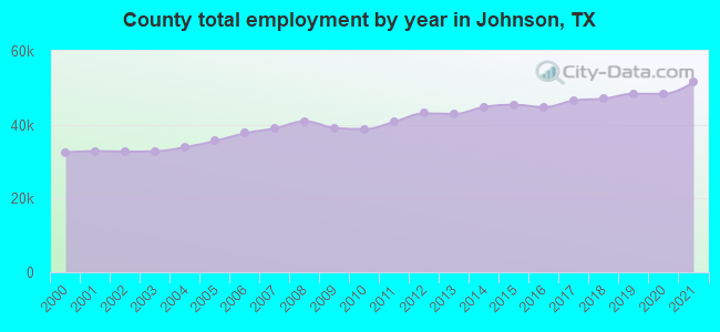 County total employment by year in Johnson, TX