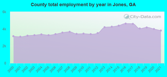 County total employment by year in Jones, GA