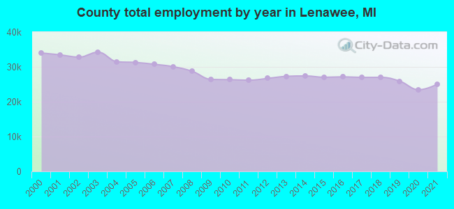County total employment by year in Lenawee, MI
