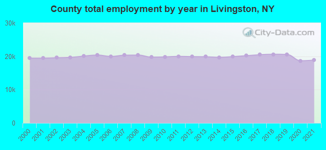 County total employment by year in Livingston, NY