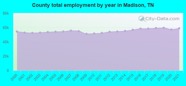 County total employment by year in Madison, TN