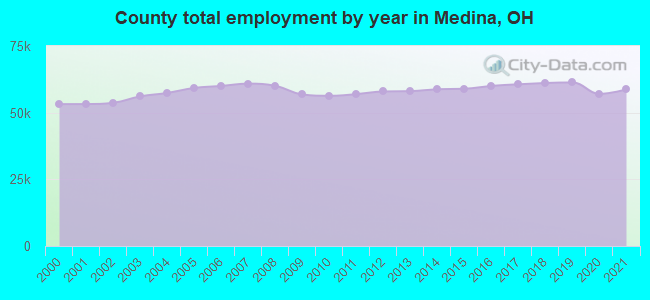 County total employment by year in Medina, OH