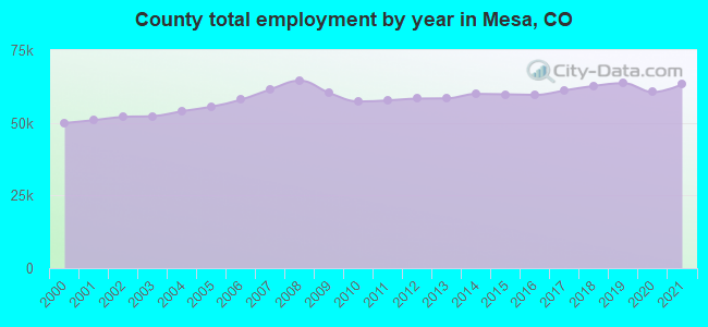 County total employment by year in Mesa, CO