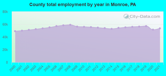County total employment by year in Monroe, PA