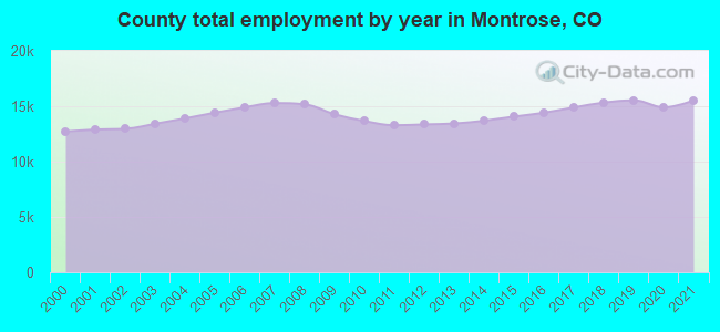County total employment by year in Montrose, CO