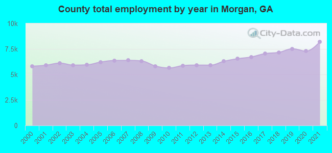 County total employment by year in Morgan, GA