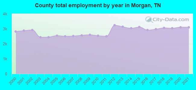 County total employment by year in Morgan, TN