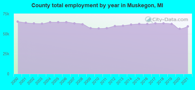 County total employment by year in Muskegon, MI