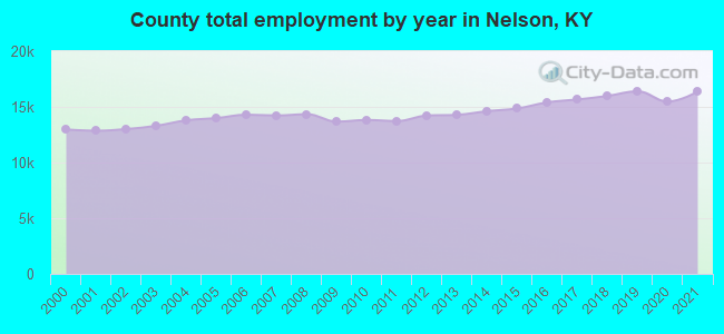 County total employment by year in Nelson, KY