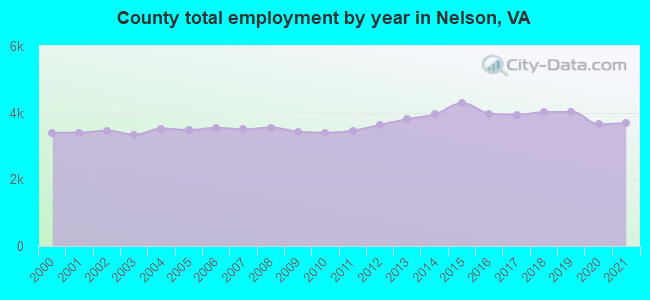 County total employment by year in Nelson, VA