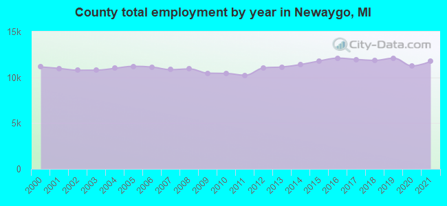 County total employment by year in Newaygo, MI