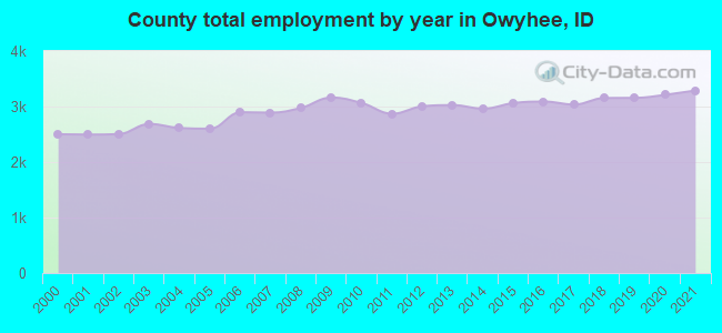 County total employment by year in Owyhee, ID