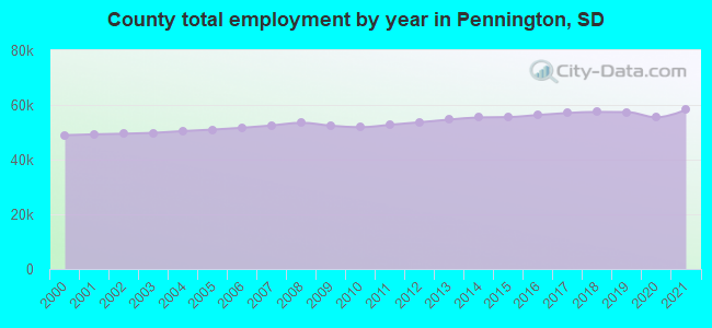 County total employment by year in Pennington, SD