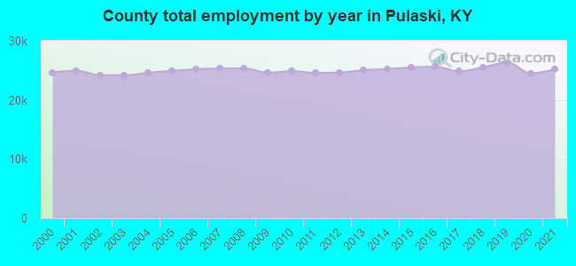 County total employment by year in Pulaski, KY