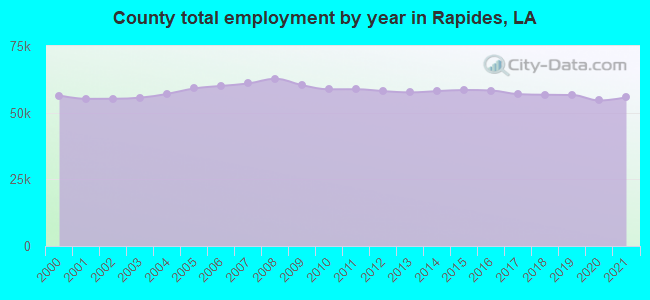 County total employment by year in Rapides, LA