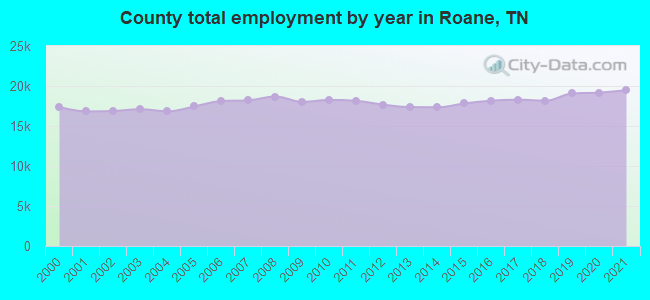 County total employment by year in Roane, TN