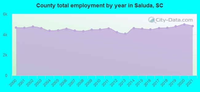 County total employment by year in Saluda, SC
