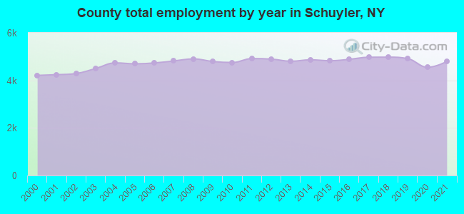 County total employment by year in Schuyler, NY