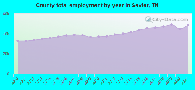 County total employment by year in Sevier, TN