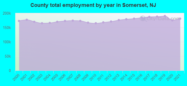 County total employment by year in Somerset, NJ