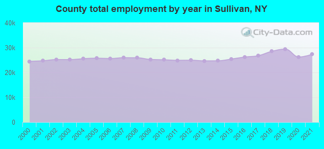 County total employment by year in Sullivan, NY
