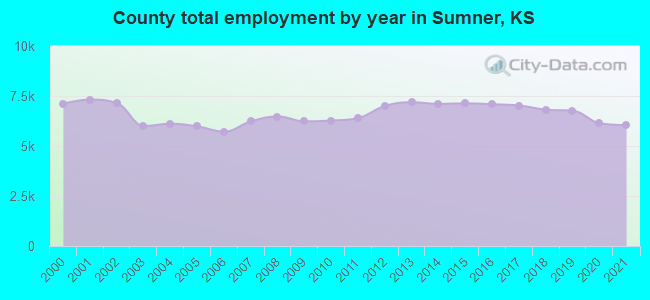County total employment by year in Sumner, KS